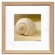 �s�t�����`�t�H�g�O���t�B�[�tFrench Photograhy�P�X