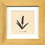 sn[u A[gt[tLavenderix_[j ^Cv1 yTCY 140x140x20mmz