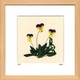 �s�n�[�u �A�[�g�t���[���tHeartsease�i�n�[�c�C�[�Y�j �^�C�v2 �y�T�C�Y 270x270x20mm�z