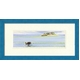 �s�I�T�؃n���~ ����̂� �͂�� �A�[�g�t���[���thonu II �^�C�v1 �y�T�C�Y 425x220x20mm�z