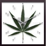 《リーフパネル》F-style Clock Cannabise Sativa(カンナビス・サティバ/大麻草)