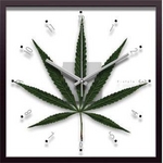 s[tpltF-style Clock Cannabise Sativa(JirXETeBo/喃)