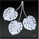 s[tpltF-style frame monstera deliciosa/white(XeEfVIT)