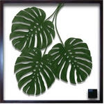 s[tpltF-style frame monstera deliciosa(XeEfVIT)