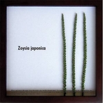 s[tpltF-style frame zoysia japonica(Vo)