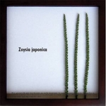 s[tpltF-style Frame Zoysia japonica(Vo)