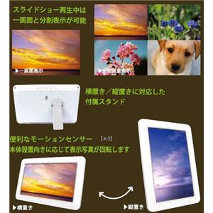 ZOX �]�b�N�X 3.5�C���`�f�W�^���t�H�g�t���[��DS-DA35N104WH �z���C�g �R���p�N�g�Ŋ��̏�ɂ��傤�ǂ����T�C�Y
