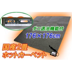 三京 電気ホットカーペット HT-20 ダニ退治機能付