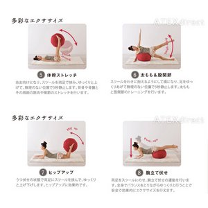 ATEX (アテックス) ルルド バランスツール AX-HSL162(MR) ミックスレッド