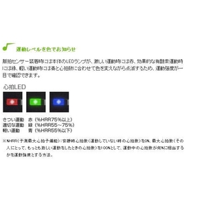 ���}�nBODiBEAT �{�f�B�r�[�gBF1