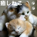 癒しねこ ミケ 〈目明き〉