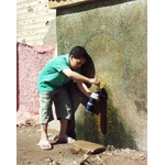 ���E�ō��􋉁@�Z�C�V�F���򐅃{�g���@