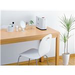 TWINBIRD(ツインバード) パーソナル加湿器 SK-4975W