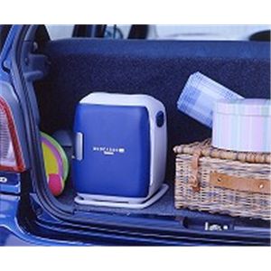 TWINBIRD(ツインバード) 2電源式コンパクト電子保冷保温ボックスデュオカーゴSi OR-C638BL ブルー