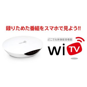 COSTEL（コステル） 
インターネット映像転送機器 WiTV　CVS-150CA