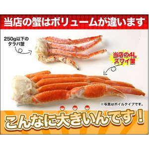生ずわいがに　　ポーション　　１ｋｇ