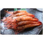 �y�V��齉���p�B�z�z�n���݂͊��璼���@�ÃG�r (1kg)�@�����Ղ�1kg�ŋ����̂��̉��i�I�@�������p