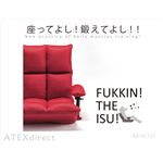 ATEX（アテックス） 腹筋！座いす AX-HC151 レッド