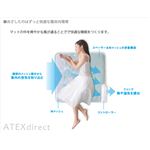 ATEX（アテックス） エアコンマット SOYO（そよ） AX-HM1211H ハーフ