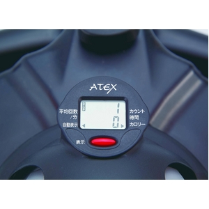 �ĥ����ȥ��ƥåѡ���AX-H118