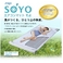 ATEX�i�A�e�b�N�X�j �G�A�R���}�b�g SOYO�i����j �����̂� AX-HM1200