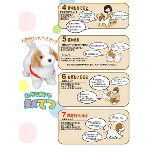 こっちにおいで 愛犬てつ