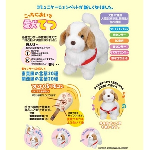 こっちにおいで 愛犬てつ