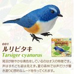 ������y���@�q�[�����O�o�[�h01�@�����r�^�L