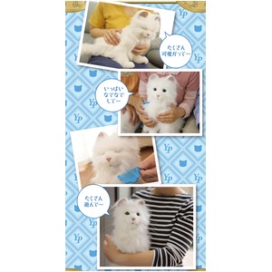 夢ねこプレミアム