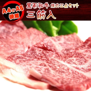 A4・A5等級のみ黒毛和牛 焼肉3点セット600g