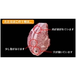 【訳あり】大判黒毛和牛リブロース焼き肉用 150g×5枚【A4かA5】