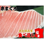 【訳あり】本マグロ大トロ入り食べ尽しセット 1kg　船元直送だから実現！本当に貴重な逸品がこの価格！！850084135