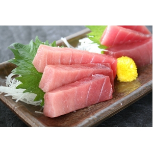 【訳あり】本マグロ大トロ入り食べ尽しセット 1kg　船元直送だから実現！本当に貴重な逸品がこの価格！！ＭＯ-10_850084135