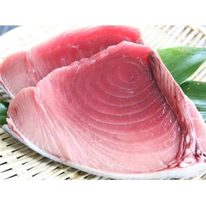 【訳あり】マグロお得セット 1.8kg　船元直送だからできるこの価格！ＭＯ-10_850084135