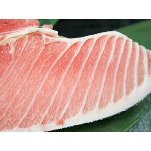 【訳あり】船元直送!本マグロ大トロお試しセット!本当に貴重な逸品がこの価格!