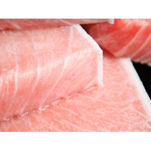 【のし付き（名入れ不可）　お歳暮対応】貴重な本マグロの全てを一度に味わえる！大トロ、中トロ、赤身が全部入福袋！