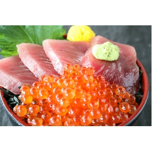 【父の日用】本マグロ大トロ入り食べ尽しセット 1kg 船元直送だから実現!本当に貴重な逸品がこの価格!!850084135