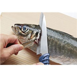 FF-110 フィッシング＆アウトドアナイフ 90mm （片刃）