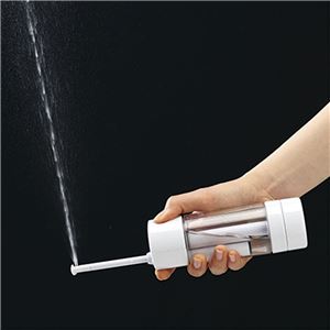 F8240 加圧式シャワーウォッシュ