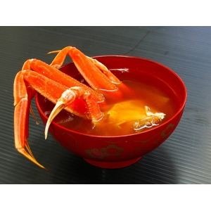 【12月20日で終了】　この時期しか食べられない高級松葉かにのメス 山陰せこかに 150g×7尾