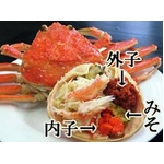 �y12��20���ŏI���z�@���̎��������H�ׂ��Ȃ��������t���ɂ̃��X �R�A�������� 150g�~7��