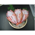 ���̍����� �̂ǂ����銱���i70g�O��~5�C�j
