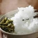 21年産新潟こしひかり30kg（5kgｘ6袋）
