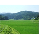 21年産山形県庄内産はえぬき 30kg入り