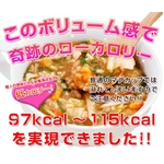【50万食突破★売れてます!】お嬢様ダイエット雑炊 4種アソート12食セット