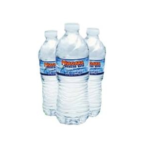 軟水ミネラルウォーター ナイアガラ・ピュリファイト・ドリンキングウォーター 【500ml×48本セット】