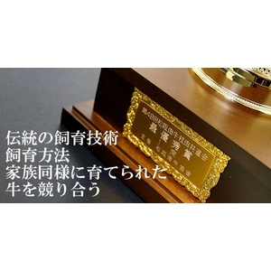 【2011年12月30日12時までのご注文は年内出荷】松阪牛A5 厳選 霜降りカルビ 500g 5〜6名様用