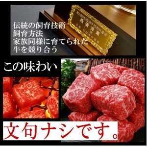 【2011年12月30日12時までのご注文は年内出荷】松阪牛モモ肉角切りステーキ200g