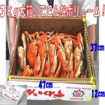 【身入り抜群のＡ級品！】今夜はカニパーティー！カナダ産ボイルズワイガニ姿　3ｋｇ（６匹）