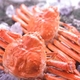 【身入り抜群のA級品！】カナダ産ボイルズワイガニ姿・約５００ｇ×２尾